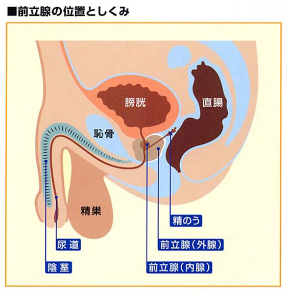 泌尿器科  高知医療センター